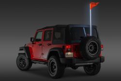 LED Stab 1 m 39" mit Halterung und Fernbedienung Jeep universal Rugged Ridge 11250.20 RGB Lighted Whip 39Inches