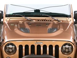 Motorhaube 10th Anniversary Style - Jeep Wrangler JK ab BJ 07 -18 Freedome Hood