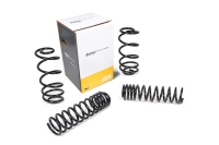 Federkit 100mm Wrangler TJ JKS