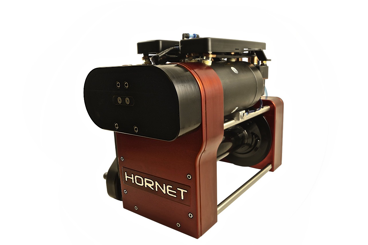 Hornet1